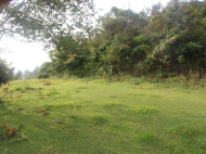 Land parcel, Ground area for sale in a resort district of Chakvi, Georgia. Photo 4