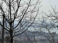 Купить частный дом с земельным участком в пригороде Батуми, Капрешуми. Фото 3