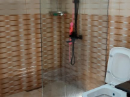 ყიდვა კერძო სახლის მიწის ნაკვეთით ქალაქგარეთ ბათუმში, ახალშენი. მანდარინის ბაღი, ხილის ბაღი.  ფოტო 13