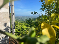 House for sale in a resort district of Kobuleti, Georgia. Photo 13