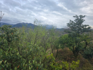 Продается дом в Квирике, Аджария, Грузия. У реки. Вид на море. Фото 6