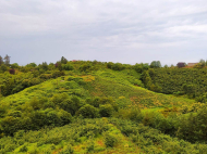 Купить частный дом с земельным участком в Чакви, Грузия. Фото 3