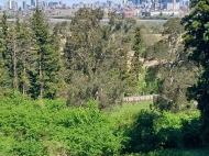 ყიდვა კერძო სახლის მიწის ნაკვეთით ქალაქგარეთ ბათუმში, თხილნარი. ზღვის ხედებით. ფოტო 6