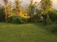 Urgent sale of a house with a plot of land in Ozurgeti, Georgia. Photo 28