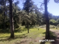 Land parcel, Ground area for sale at the seaside of Ureki, Georgia. Land with sea view. Photo 6