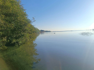 Участок у моря в Уреки. Купить земельный участок у моря в Уреки, Грузия. Фото 3