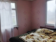 House for sale in a resort district of Natanebi. House for sale with a plot of land in the suburbs of Meria, Georgia. Photo 4