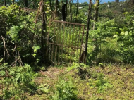 Участок у серных вод в курортном районе Махинджаури, Грузия. Фото 4