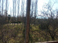 House for sale with a plot of land in the suburbs of Samtredia, Georgia. Photo 2