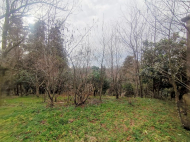 იყიდება კერძო სახლი მიწის ნაკვეთით კვირიკე, საქართველო. ფოტო 3