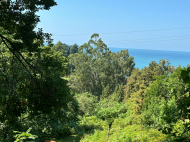 Участок с видом на море и горы в Цихисдзири, Аджария, Грузия. Фото 2