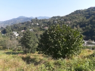 Land for sale on the top of Tkhilnari, Adjara, Georgia. Photo 3