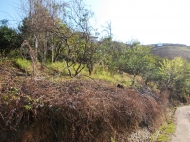 Земельный участок для дачи в Капрешуми, Батуми, Грузия. Фото 3