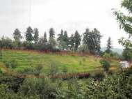 Land parcel, Ground area for sale in Chakvi, Georgia. Photo 1
