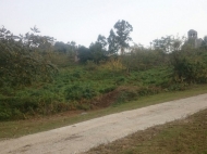 Ground area ( A plot of land ) for sale in Sarpi, Georgia. Land with sea and mountains view. Photo 8