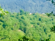 Продается земельный участок в пригороде Батуми, Грузия. Земельный участок с видом на море. Фото 4