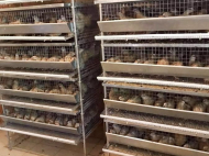 An existing agricultural complex for sale. Erghe, Georgia. Photo 4