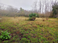 იყიდება ხის კოტეჯი. ყიდვა კერძო სახლის მიწის ნაკვეთით სამტრედიაში, საქართველო. ფოტო 8