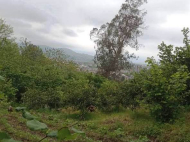 Land parcel, Ground area for sale in the suburbs of Batumi, Todogauri. Photo 3