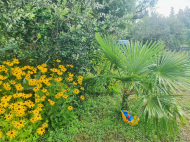 Купить частный дом с земельным участком в Натанеби, Грузия. Фото 18