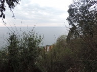 Land with sea view. Land parcel, Ground area for sale in Kvariati, Georgia. Photo 10