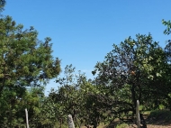 Участок на продажу в Ахалшени. Купить земельный участок с видом на горы в Ахалшени, Батуми, Грузия. Фото 5