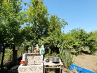 იყიდება კერძო სახლი მიწის ნაკვეთით ოზურგეთში, საქართველო. ფოტო 15