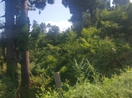 Land parcel for sale in Tsihisdziri, Georgia. Land with with sea and mountains view. Photo 4
