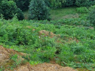 Land parcel, Ground area for sale in Akhalsopeli. Batumi, Georgia. Sea view. Photo 4