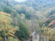 House for sale in a resort district of Bobokvati, Georgia. House for sale with land in a beautiful location. Tangerine garden, Orchard. Walnut garden. Photo 14