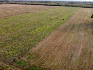 An existing agricultural complex for sale. Lagodekhi, Georgia. Photo 17