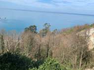 Продается земельный участок у моря в Квариати, Грузия. Вид на море. Фото 4