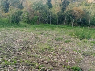 House for sale with a plot of land in Kutaisi, Georgia. Photo 12