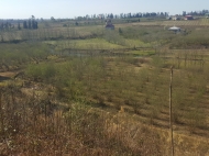 urgently for sale plot area in a quiet residential area kobuleti Photo 5