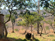 House for sale in a resort district of Bobokvati, Georgia. Photo 17