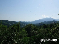 House  for sale with a plot of  land and tangerine garden in Batumi, Georgia. River view. Photo 5