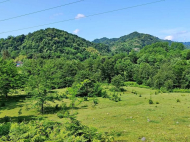 Land parcel, Ground area for sale in the suburbs of Lanchkhuti, Georgia. Photo 3