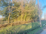 House for sale with a plot of land in Samtredia, Georgia. Near the river. Photo 7