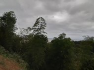 Ground area ( A plot of land ) for sale at the seaside of Tsikhisdziri, Adjara, Georgia. With view of the sea Photo 2