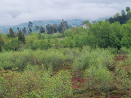 Ground area for sale in a resort district of Kobuleti, Georgia. Favorable for investment projects. Sea view. Photo 3