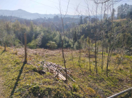 იყიდება მიწის ნაკვეთი ზღვისა და მთების ხედით ციხისძირში. საქართველო ფოტო 4