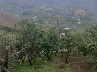 House for sale in a resort district of Chakvi, Georgia. Tangerine garden. Sea view. Photo 9