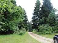 Land parcel, Ground area for sale in a picturesque place. Photo 3