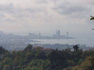 Non-agricultural land for sale with a view of the sea and the city of Batumi. Photo 4