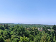 Участок в курортном районе Уреки. Земельный участок на продажу в Уреки, Грузия. Фото 2