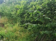 Land parcel, Ground area for sale at the seaside of Makhinjauri, Georgia. Photo 2