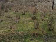 Продается дом с земельным участком в Самтредиа, Грузия. Фото 3