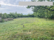 House for sale with a plot of land in the suburbs of Lanchkhuti, Georgia. Photo 3