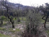 Land for sale in Batumi, Adjara, Georgia Photo 3