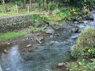 ვიყიდი კერძო სახლს საკურორტო რაიონში ჩაქვში, ჩაისუბანი. ფოტო 5